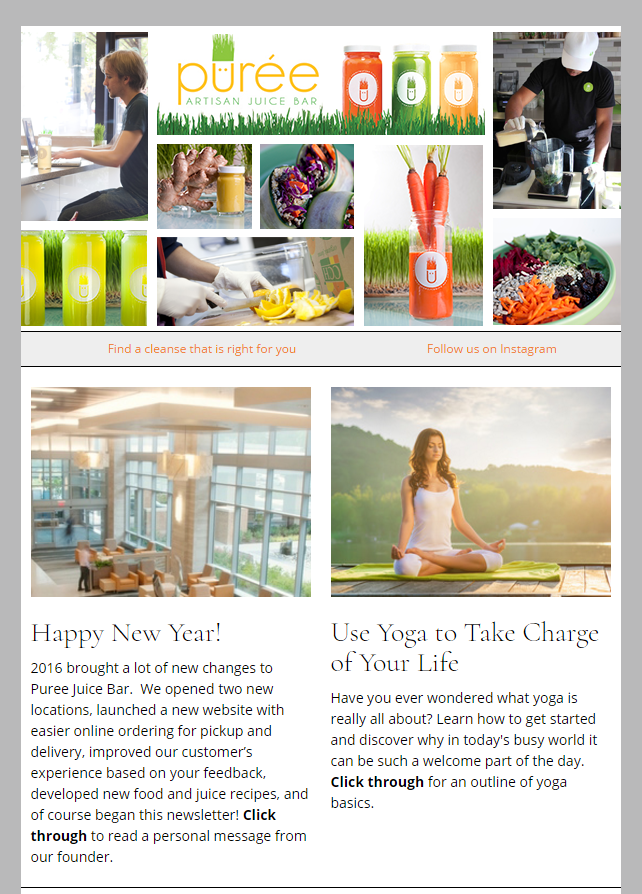 Puree Artisan Juice Bar Email Newsletter Preview